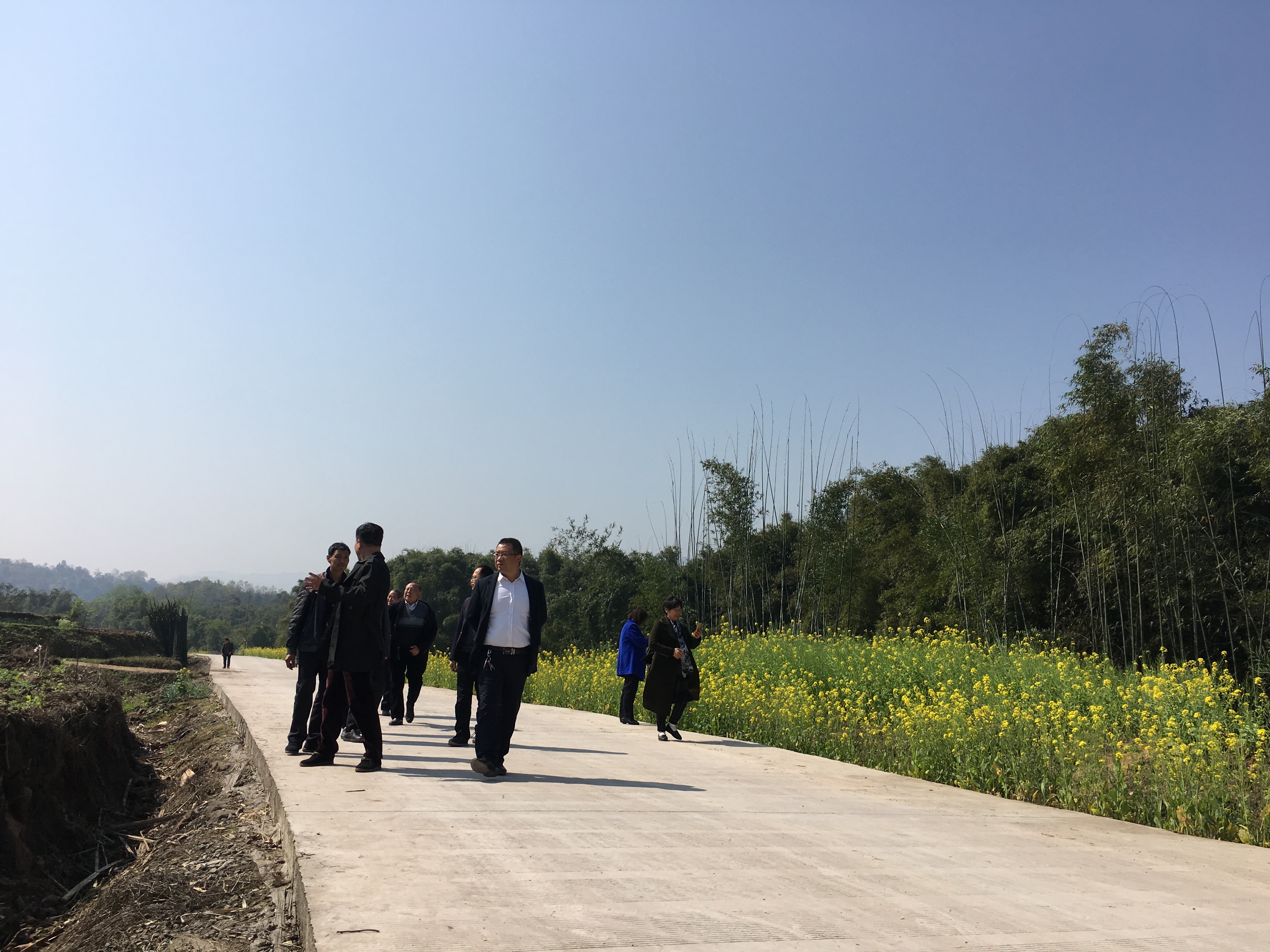 泸州市合江县甘雨镇图片