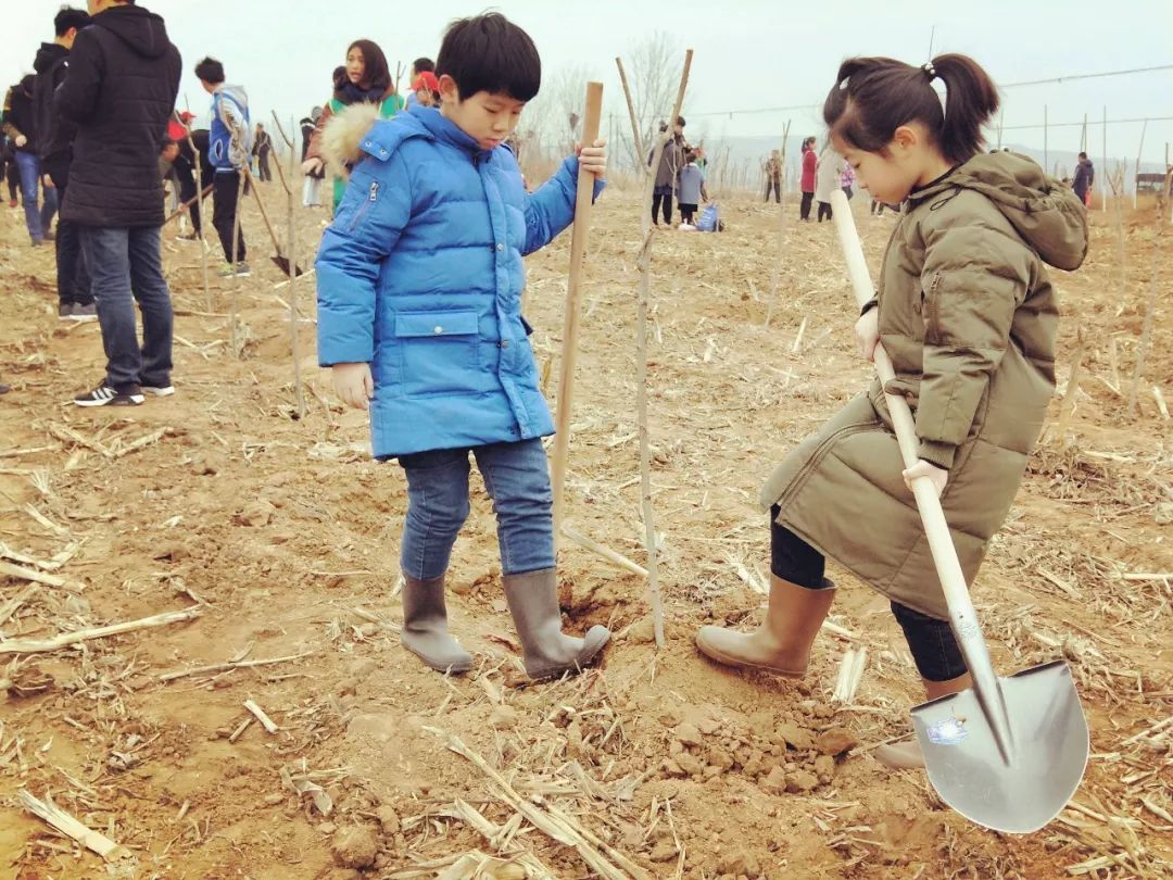 當一個人種滿19顆樹後.317植樹活動回顧