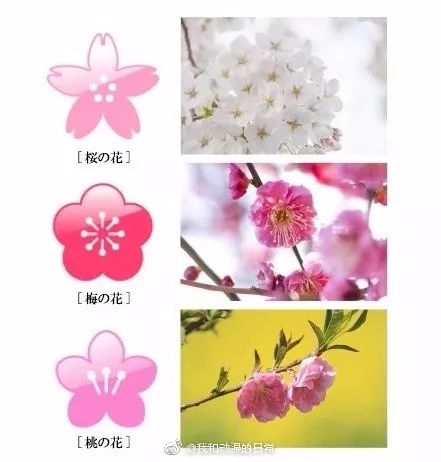 桃花梅花樱花区分图解图片