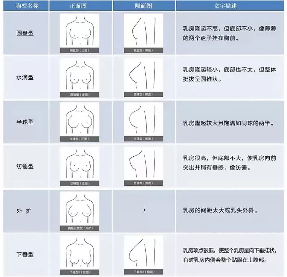 不同胸型图解图片