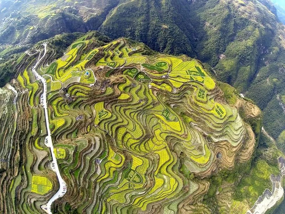 小舟山乡还会继续向前走,如同浴火重生的凤凰,在这片大地上飞翔.