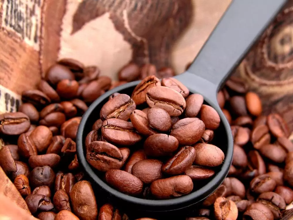 阿拉比卡咖啡豆为何流行
