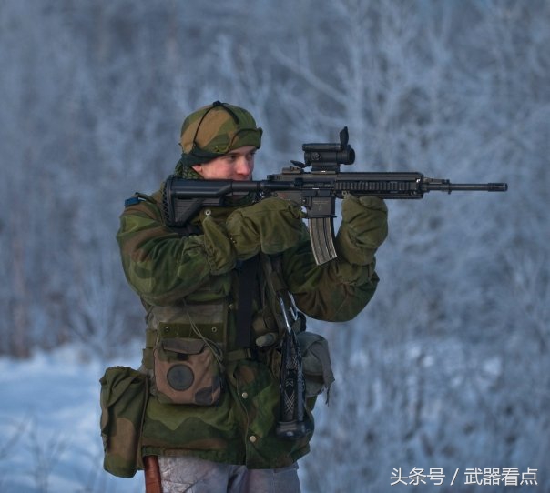 挪威现役步枪图片