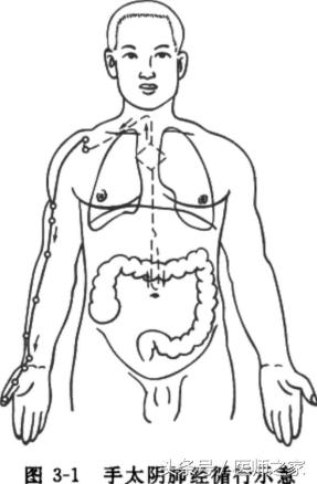 針灸學十二經脈手太陰肺經