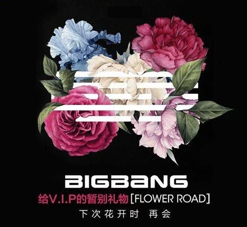 Bigbangflowerroad中文歌词翻译bigbang与粉丝的美好回忆