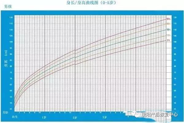 生长发育曲线,最下面的一条曲线为3%,约有3%的婴幼儿低於这一水平