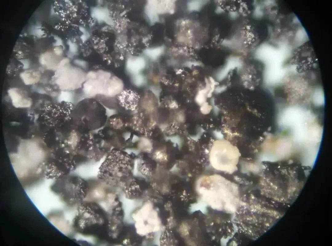 显微镜下的灰尘图片