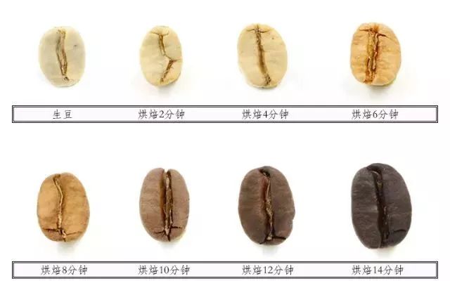 咖啡烘焙焦糖化与梅纳反应咖啡中的焦糖风味又是怎么回事