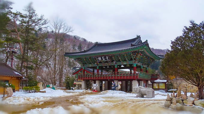 5天4晚韩国游揭秘冬奥期间的首尔和平昌