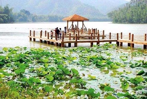 地點:廣州市增城區正果鎮湖心島風景區