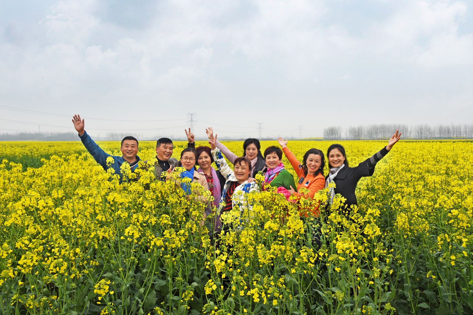 民族村落,美丽田园│安庆市望江县漳湖回民村油菜花海美如画