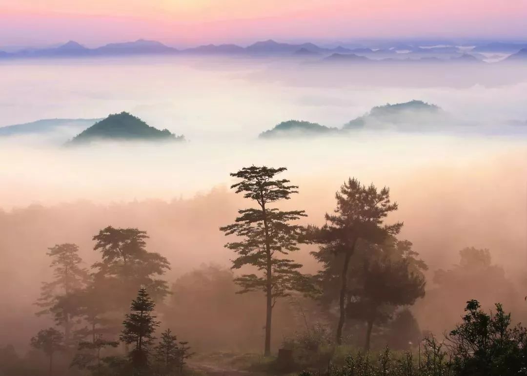 這6條浙江超高顏值的小眾春遊路線有山有水有村落秘境中的世外桃源