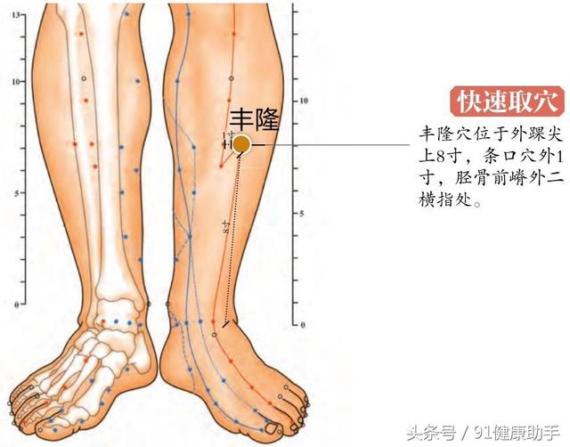 穴位養生| 痰多,咳嗽,支氣管炎按豐隆和胃氣,化痰溼,清神志