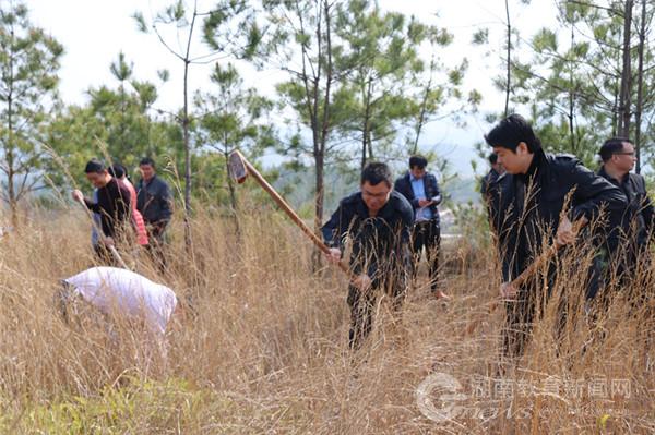 湖南教育新闻网讯(通讯员 郑群 刘贵雄)3月21日,新田县教育局党委书记