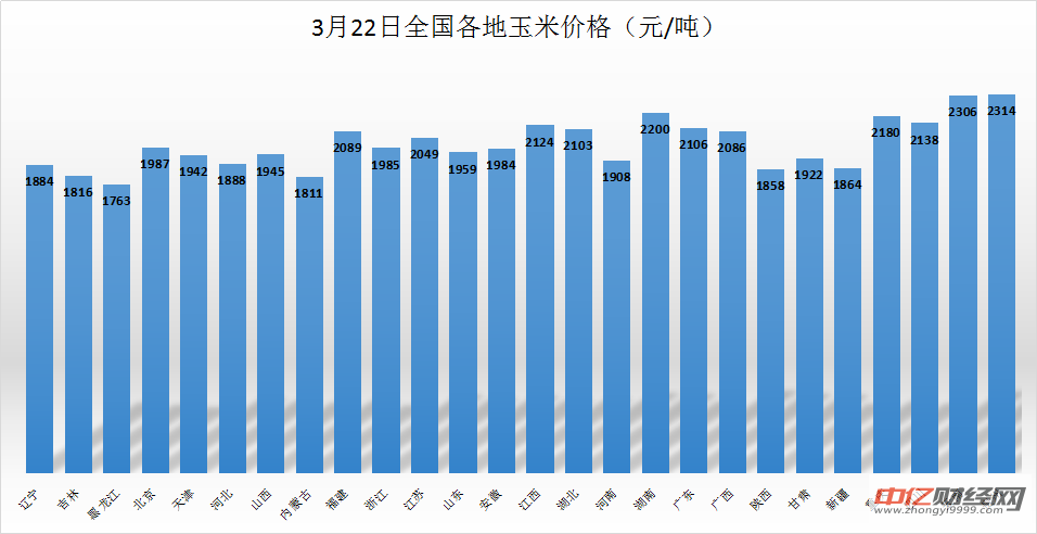 3.22今日玉米價格走勢分析 玉米主力弱勢下行