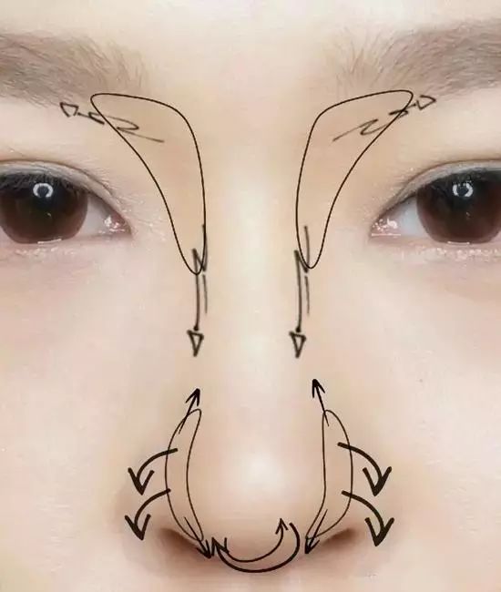 靠近眼睛的鼻翼和靠近鼻尖的鼻翼是涂抹的重点部位,要比中间的鼻翼