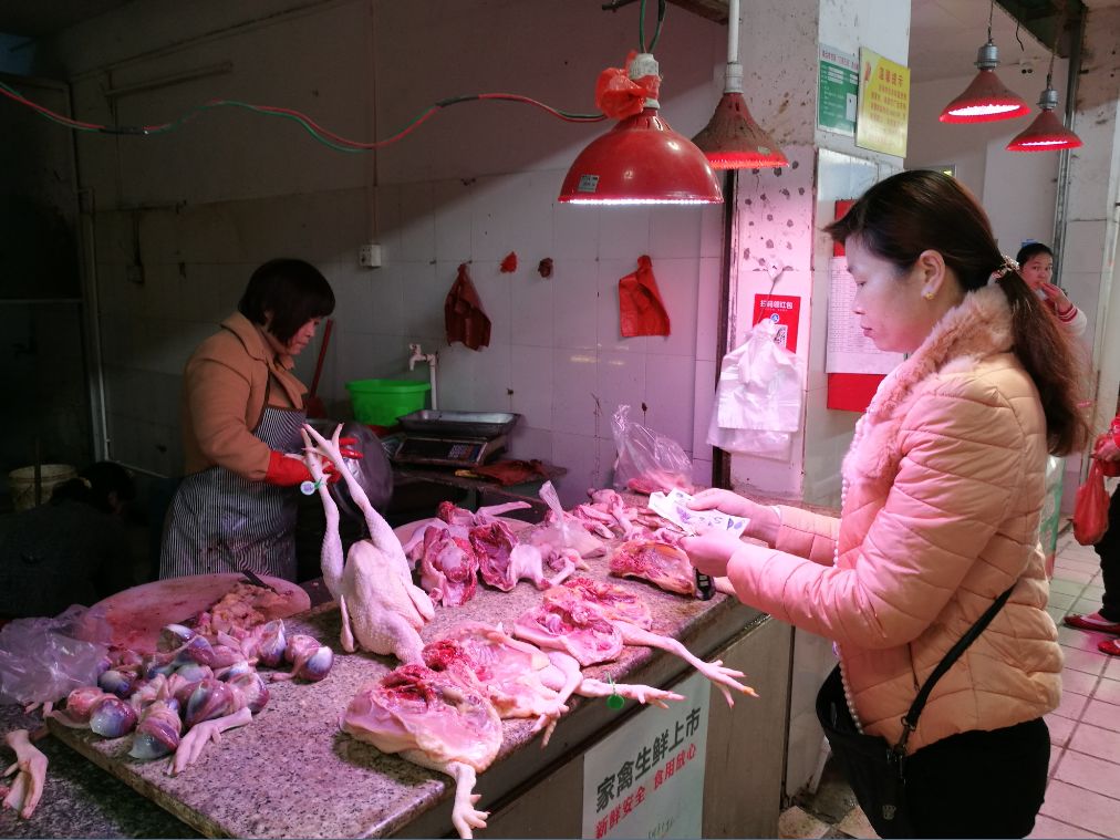 清远家禽生鲜上市首日,市区30个市场当天开始售卖生鲜鸡