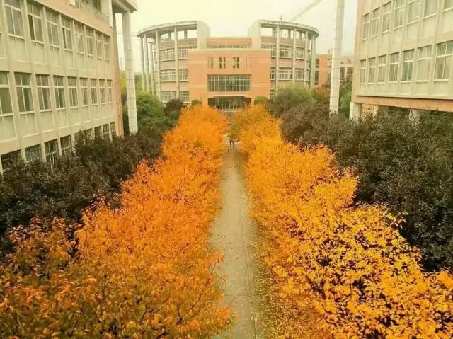 据说即将要升级为西安财经大学,也许毕业生们以后再次回到母校,就见不