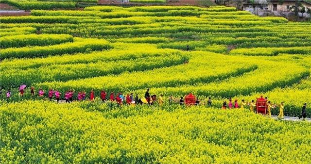 2018成都周邊油菜花觀賞聖地你準備去哪兒