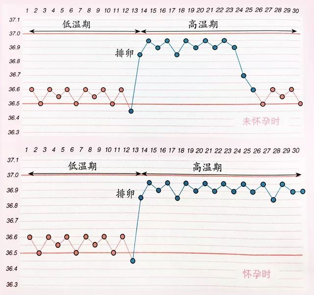 着床成功体温变化图图片