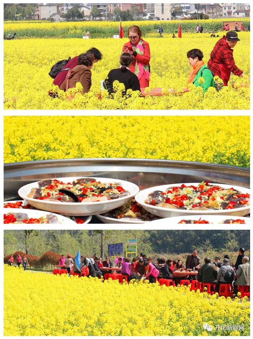 油菜花节趣味活动图片