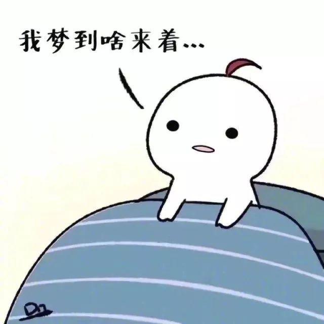 我只想好好睡一觉图片