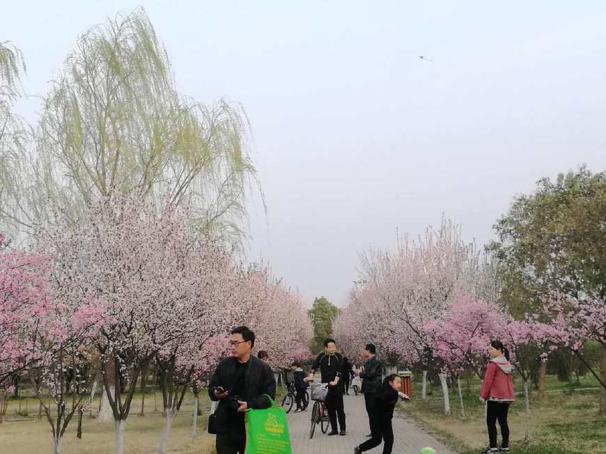 平顶山生态园在哪里图片