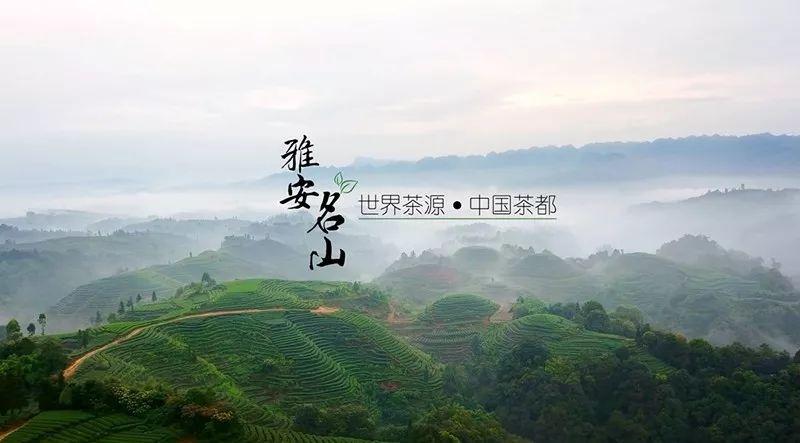 第十四届蒙顶山茶文化旅游节即将盛大开幕