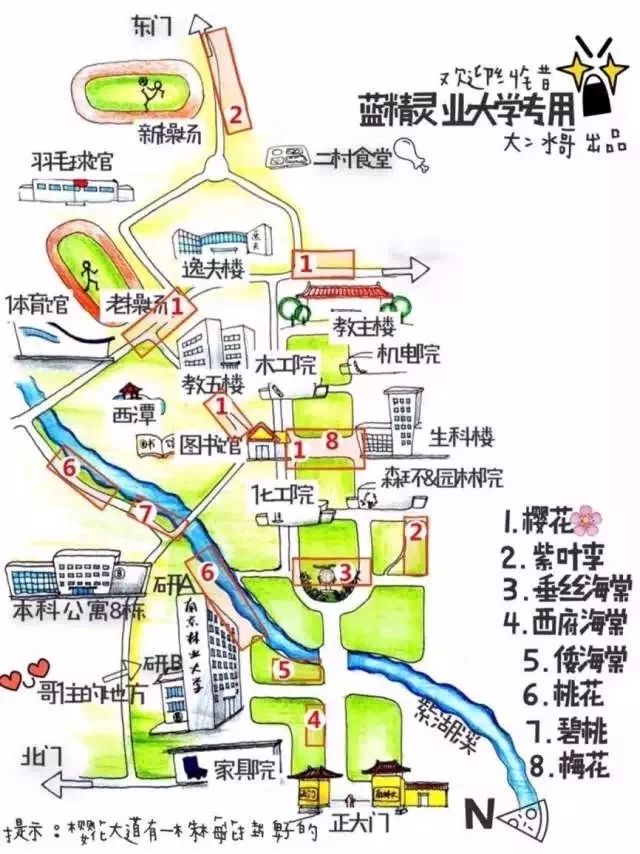 南京林业大学手绘地图图片