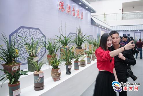 28届中国翁源兰花博览会迎来首个周末万人排队赴兰花盛会