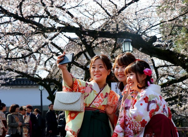 当地时间2018年3月24日,日本东京,上野公园樱花绽放,大批游人前来赏樱