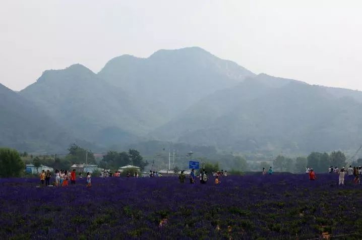 南天门村,延庆区珍珠泉乡南天门村地处延庆县城东北部,村域面积5547亩