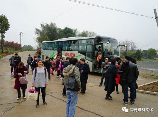 在常德市鼎城区周家店镇的寨王山漫山遍野的桃花竞相开放,这一夜春风