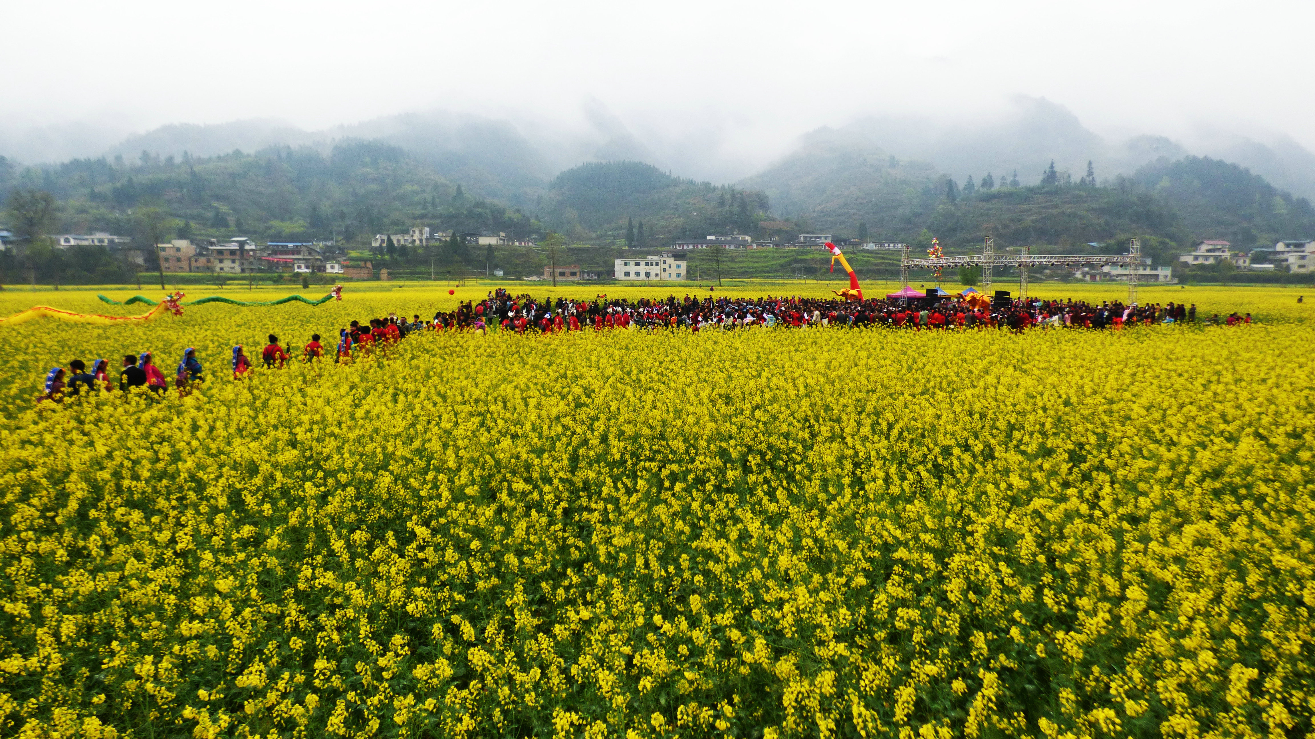 贵州麻江:以花为媒 助力扶贫(组图)