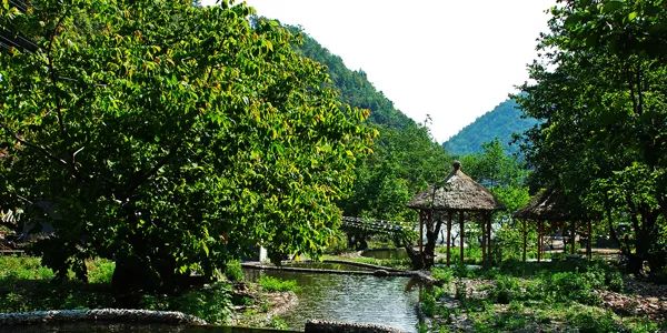 晉寧再昆明市西南部,環抱滇池西臨西山區,北接呈貢區距昆明市人民政府