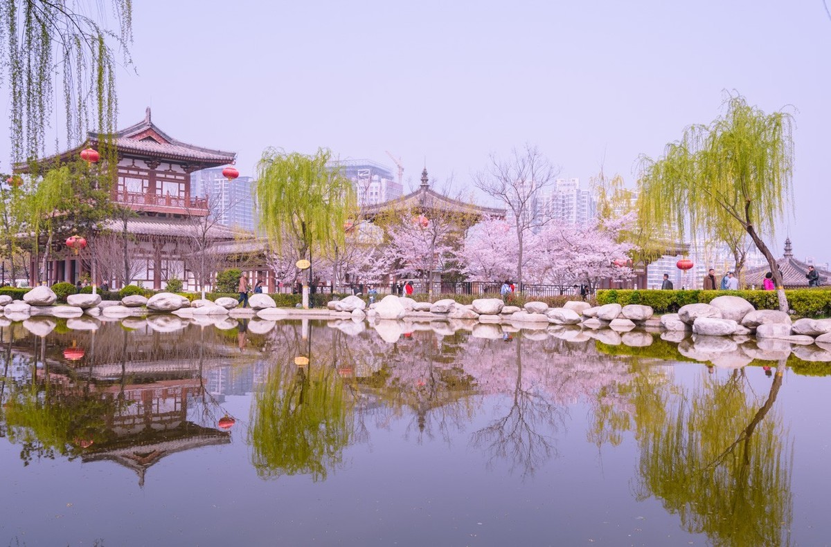 西安青龙寺公园图片