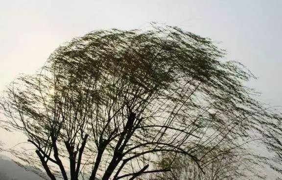 多地雷雨 大風!明天31度……家在農村的石家莊人留心!