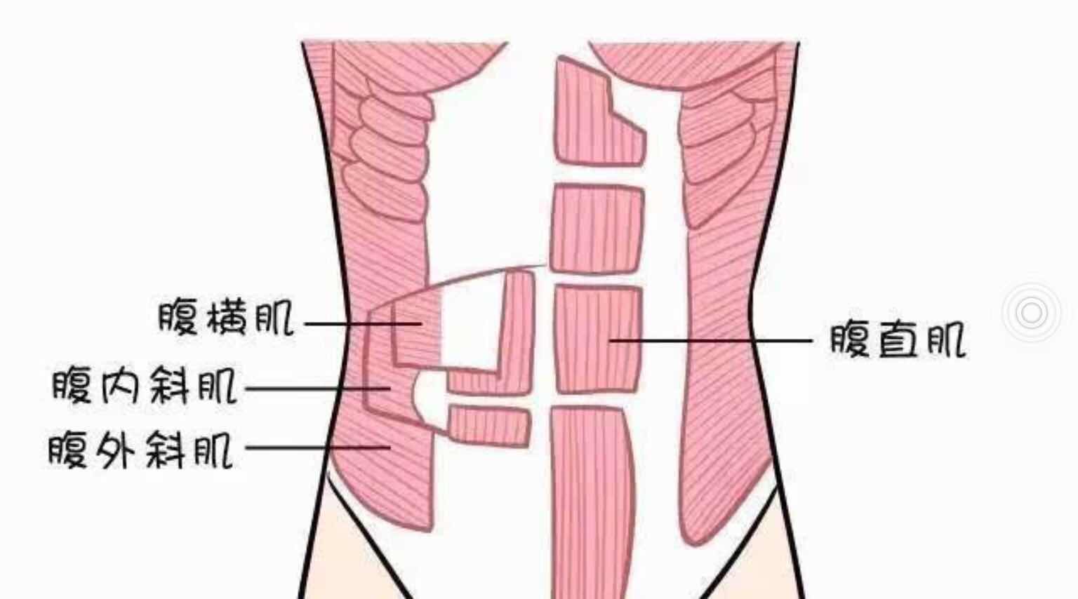 健身房教练常用套路马甲线激活