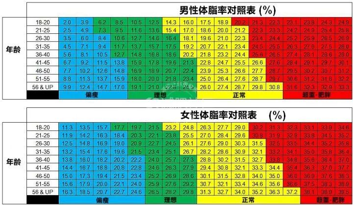 肌肉率参数对照表图片