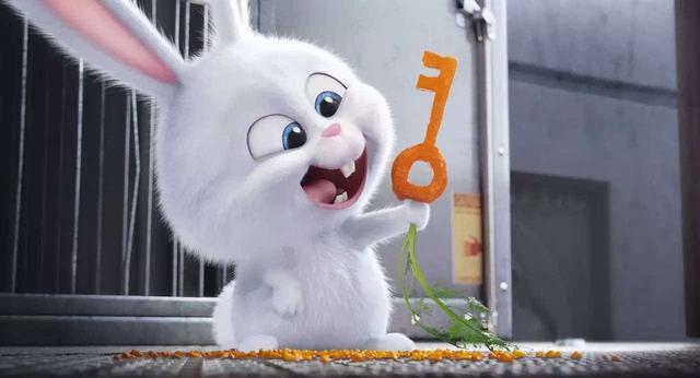这16部与兔子的有关的电影和动漫，告诉你什么是萌贱无敌！