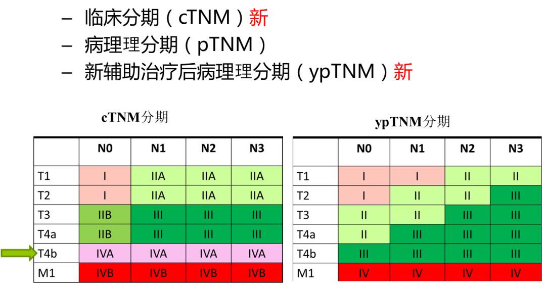 胃癌淋巴结分组图片