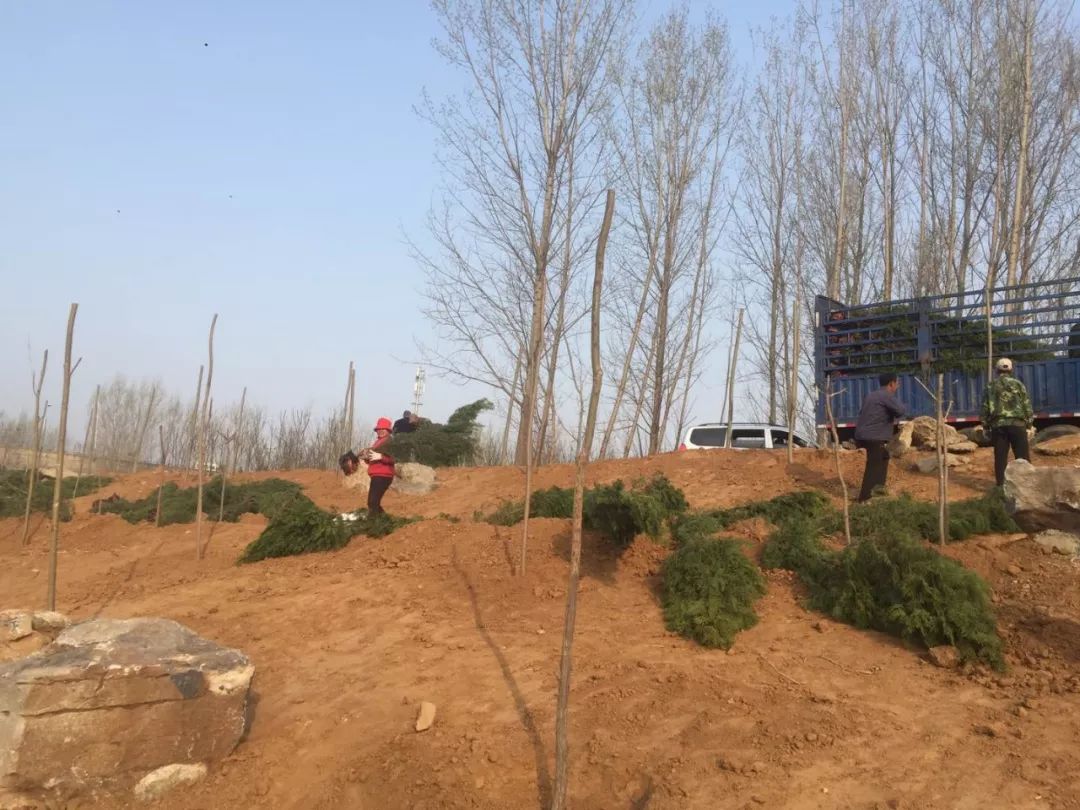 開工建設山體公園20處,即: 歷下區荊山山體公園; 市中區白馬山,大北山