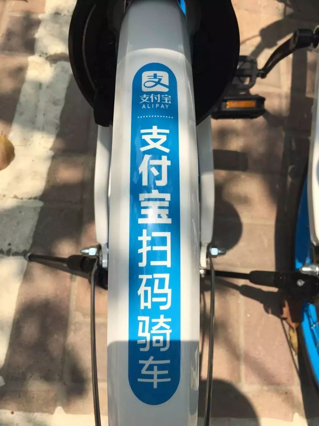 哈羅共享單車來三亞了送你一份騎行攻略