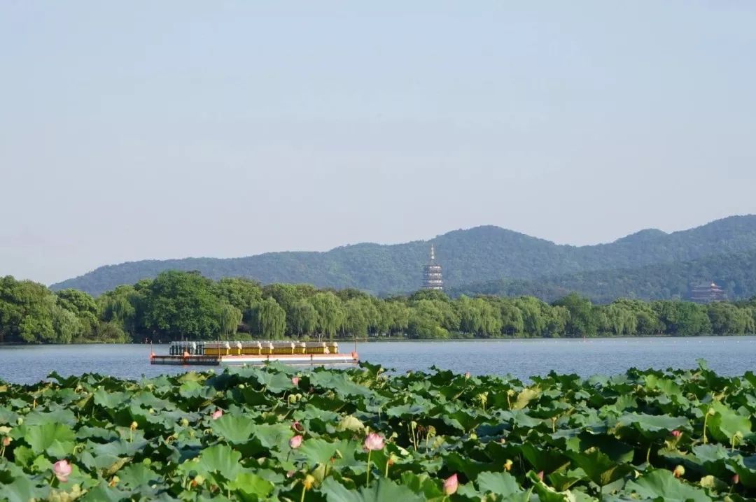 集江南神韻於一身的 西湖十景