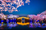 江苏鼋头渚樱花盛开中国第一赏樱地有多美游客说比日本的好看