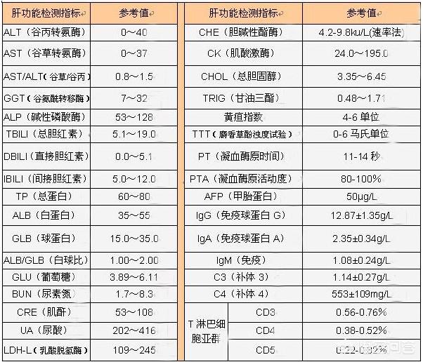 肝功能化验单 对照表图片