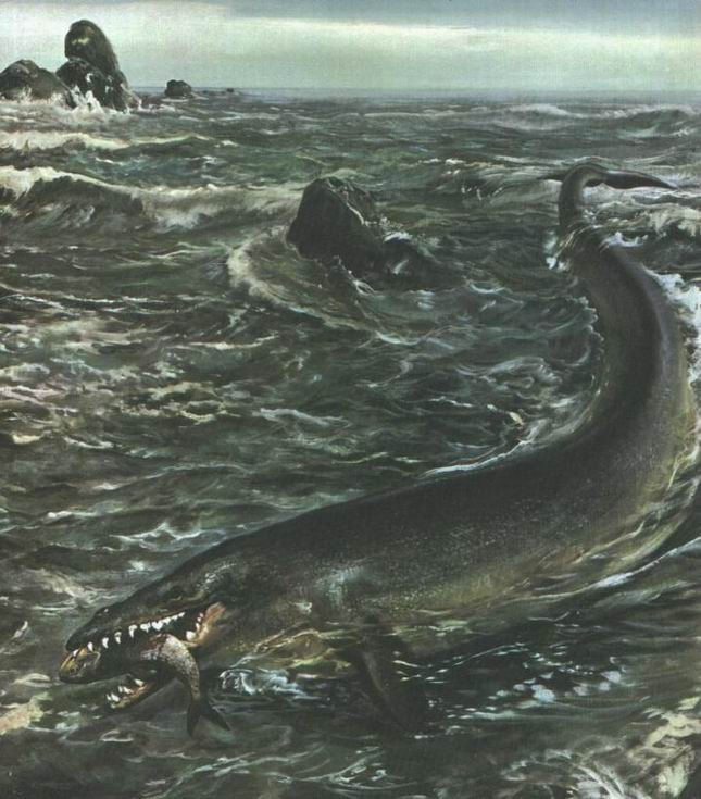裂海玄龙鲸图片