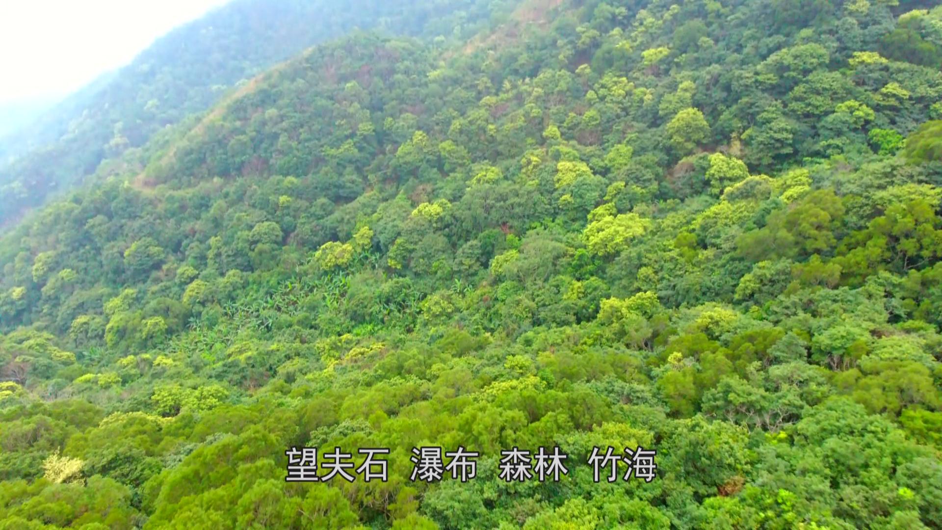 大力打造中山火炬(陽西)產業轉移工業園,陽江海洋經濟特色產業基地