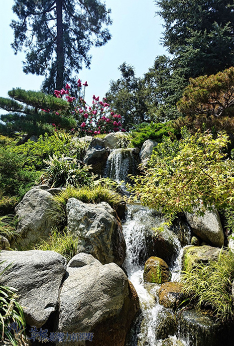 洛杉磯漢庭頓圖書館花園