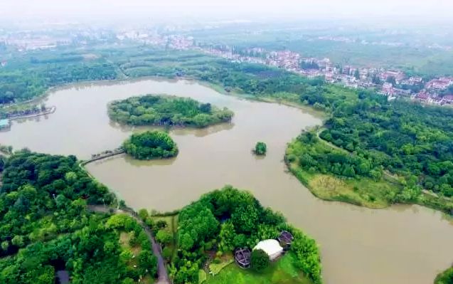 崇明港西镇沈家湾图片